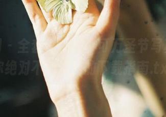 秀人网 – 全套KOKO可可万圣节写真集，你绝对不能错过的下载指南.txt