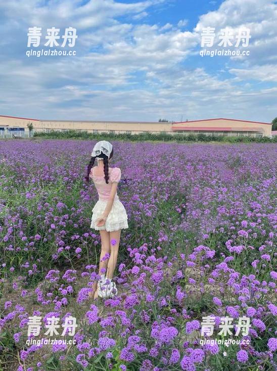 魅妍社-安沛蕾 魅妍社 - 安沛蕾黑色作品在线放送:谁说黑色不能有无限可能性?.txt