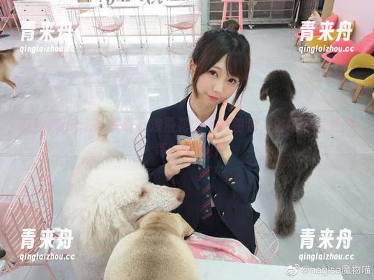 魔物喵nigisa呈现：浪漫花嫁写真图包，倾情展现爱的每一瞬.txt